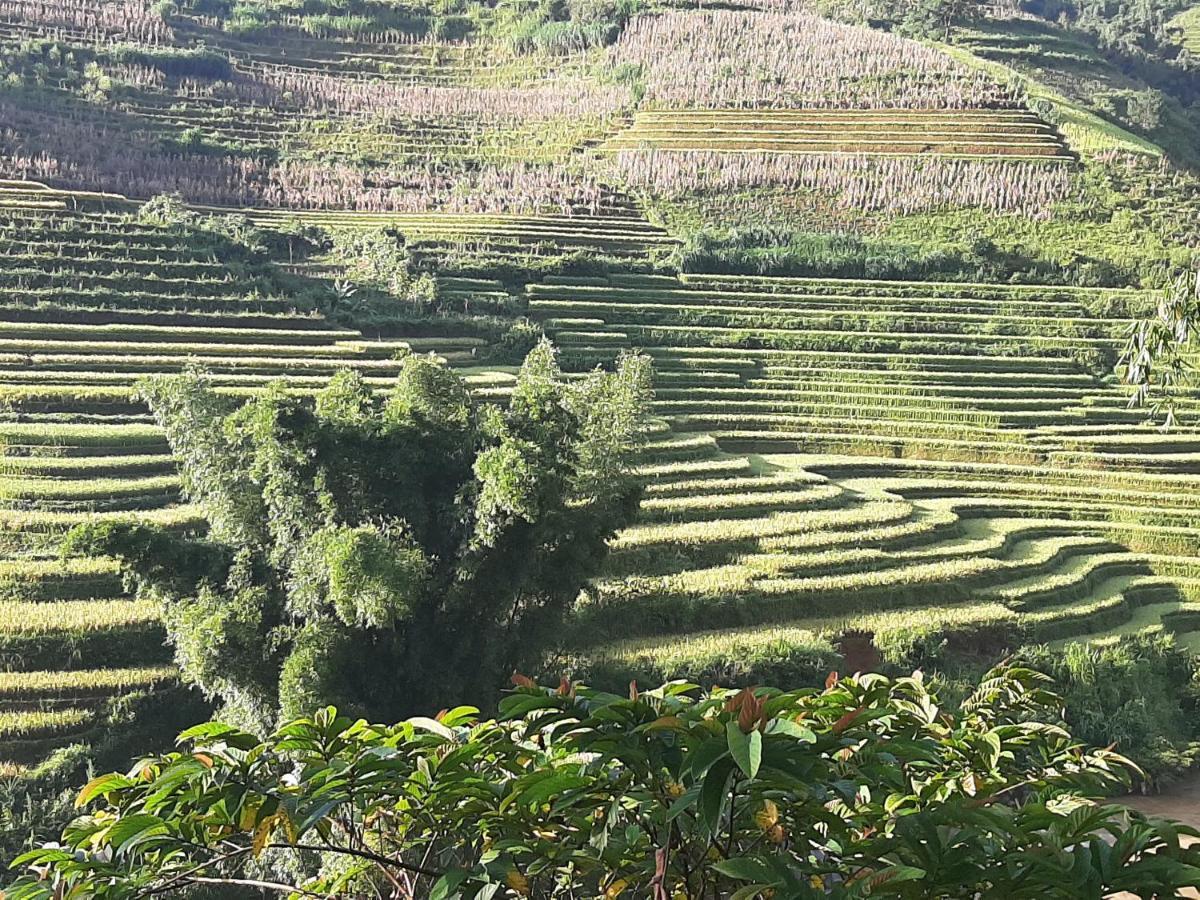 Dong Suoi H'Mong Homestay & Bungalow - Trek & Vegetarian Food Mu Cang Chai Exterior photo
