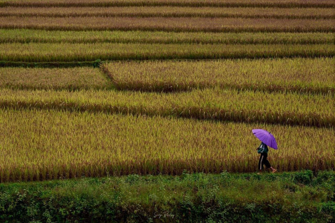 Dong Suoi H'Mong Homestay & Bungalow - Trek & Vegetarian Food Mu Cang Chai Exterior photo