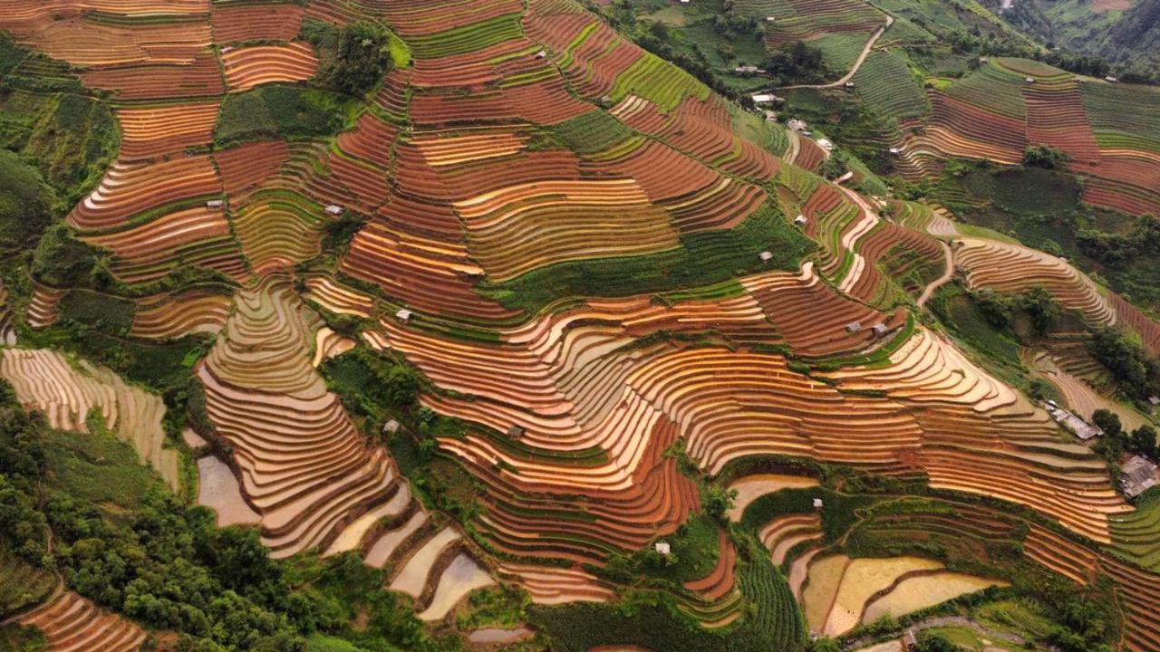 Dong Suoi H'Mong Homestay & Bungalow - Trek & Vegetarian Food Mu Cang Chai Exterior photo